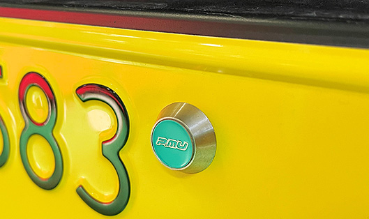 LICENSE PLATE LOCK BOLT