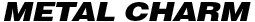 metal charm