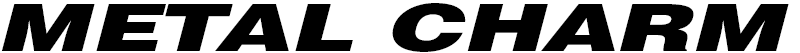 METAL CHARM
